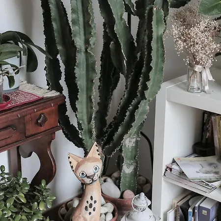 Bed & Breakfast Il Guado